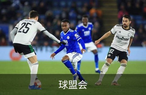 球盟会简介